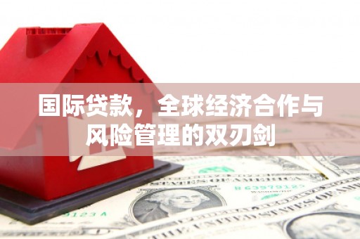 肇源国际贷款，全球经济合作与风险管理的双刃剑