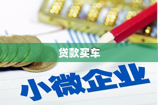 肇源贷款买车