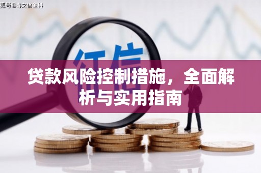肇源贷款风险控制措施，全面解析与实用指南