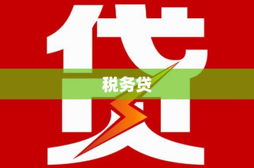 肇源税务贷