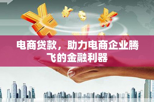 肇源电商贷款，助力电商企业腾飞的金融利器