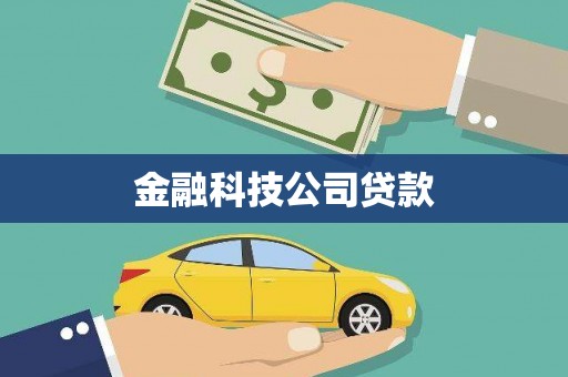 肇源金融科技公司贷款