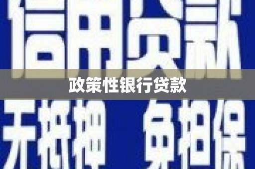 肇源政策性银行贷款