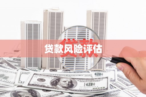 肇源贷款风险评估