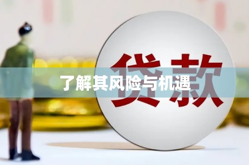 肇源了解其风险与机遇