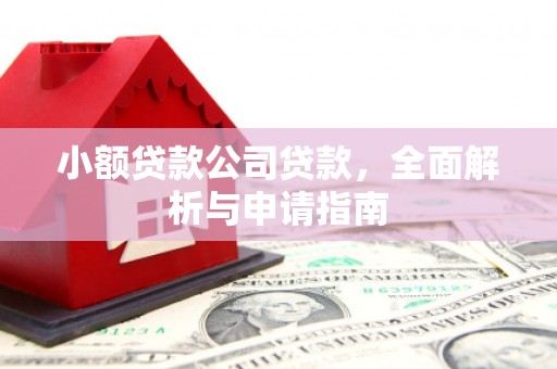 肇源小额贷款公司贷款，全面解析与申请指南