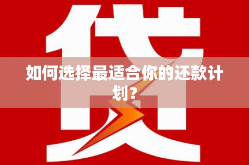 肇源如何选择最适合你的还款计划？