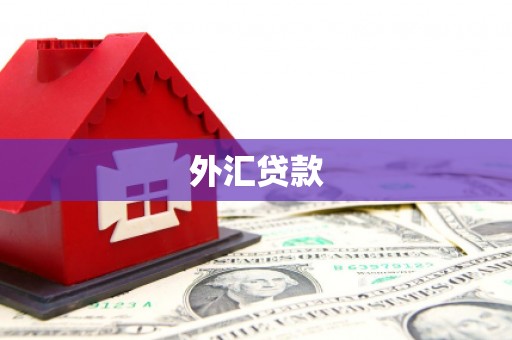 肇源外汇贷款