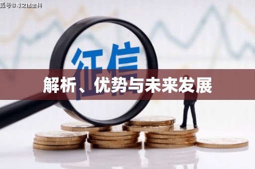 肇源解析、优势与未来发展