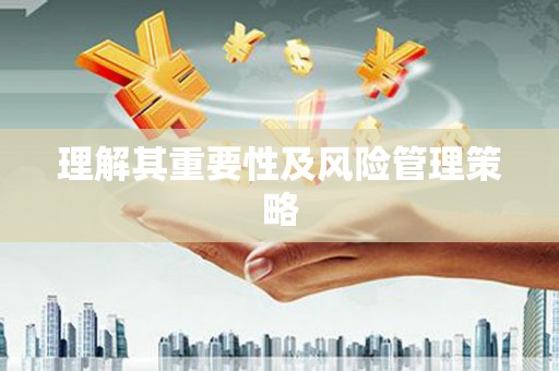 肇源理解其重要性及风险管理策略