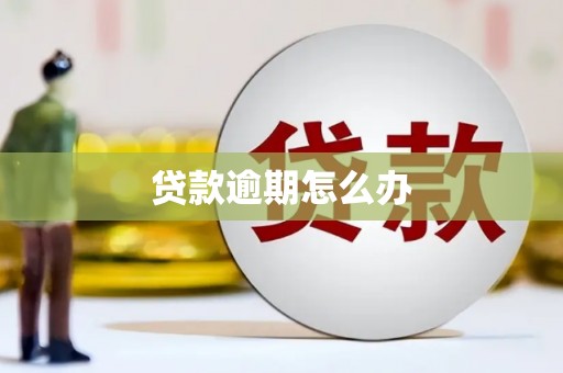 肇源贷款逾期怎么办