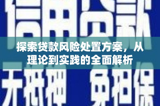 肇源探索贷款风险处置方案，从理论到实践的全面解析