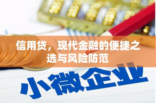 肇源信用贷，现代金融的便捷之选与风险防范