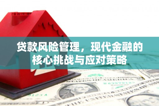 肇源贷款风险管理，现代金融的核心挑战与应对策略