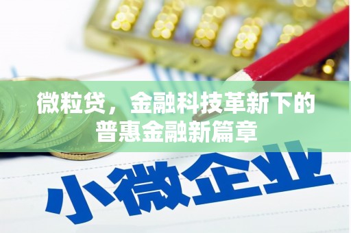 肇源微粒贷，金融科技革新下的普惠金融新篇章