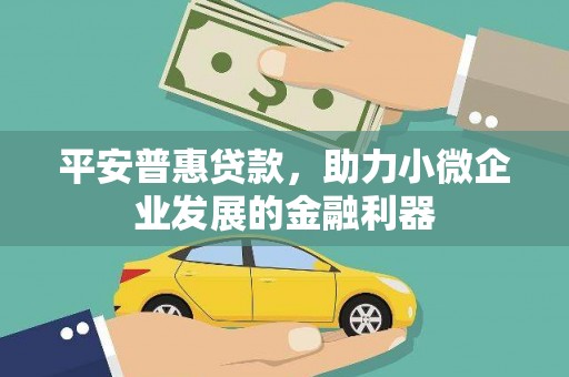 肇源平安普惠贷款，助力小微企业发展的金融利器