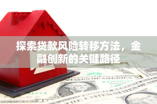 肇源探索贷款风险转移方法，金融创新的关键路径