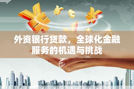 肇源外资银行贷款，全球化金融服务的机遇与挑战