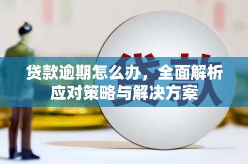 肇源贷款逾期怎么办，全面解析应对策略与解决方案
