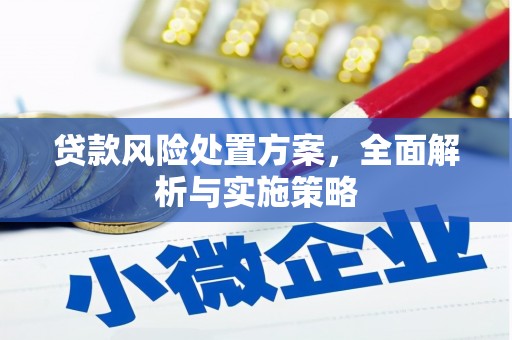 肇源贷款风险处置方案，全面解析与实施策略
