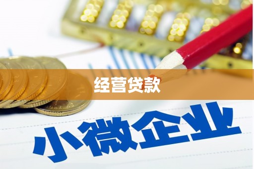 肇源经营贷款