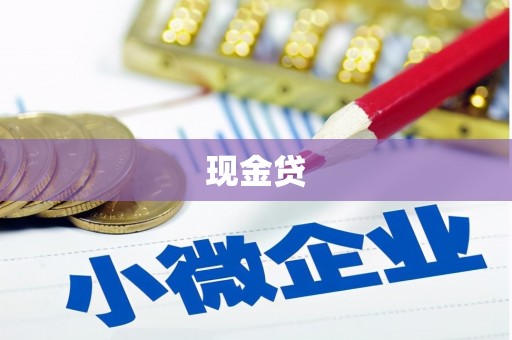 肇源现金贷