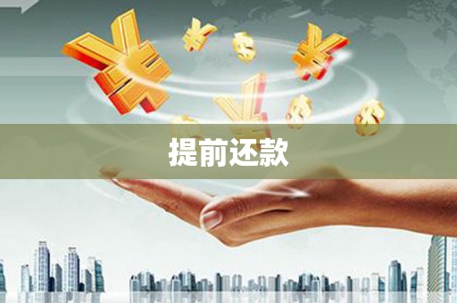 肇源提前还款