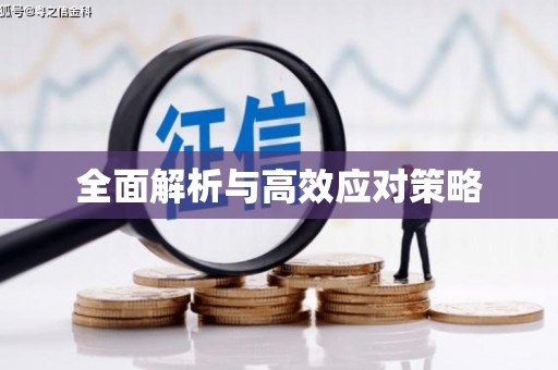 肇源全面解析与高效应对策略